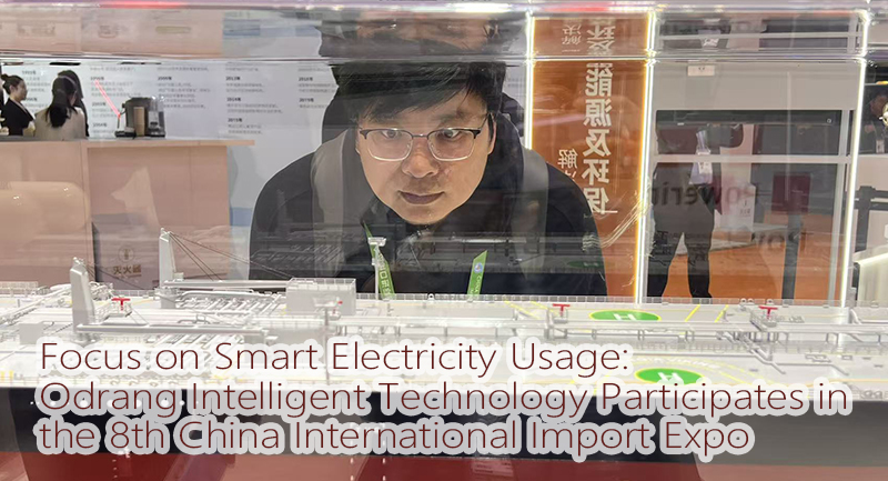 Focus on Smart Electricity Usage: Oldlang Smart Technology Participates in the 8th China International Import Expo