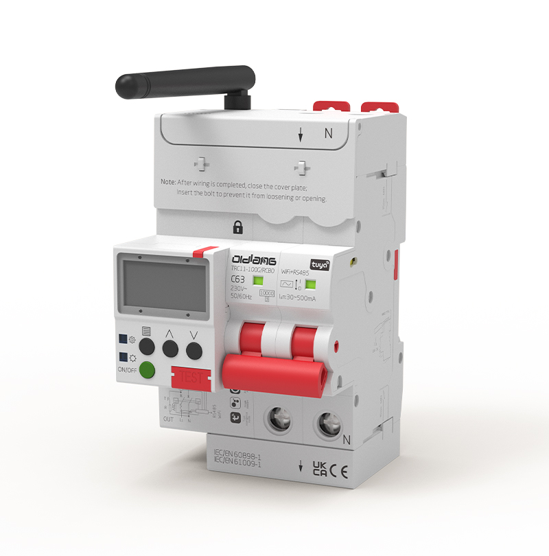 TRC11-100W/2P/TUYA Smart Circuit Breaker